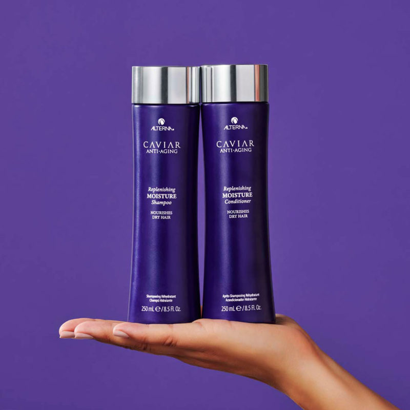 Alterna haircare northland hair company kerikeri